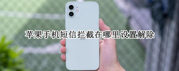 苹果手机短信拦截在哪里设置解除（苹果手机短信拦截在哪里设置解除不了）
