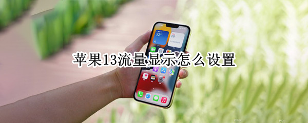 苹果13流量显示怎么设置（苹果13流量显示怎么设置不了）