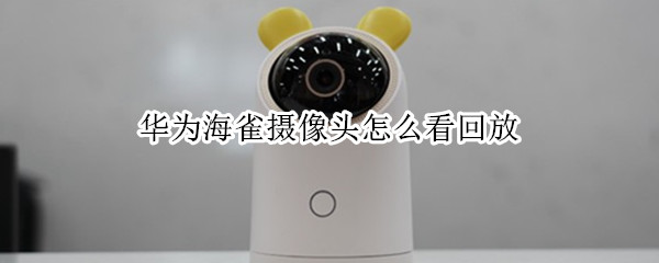 华为海雀摄像头怎么看回放 华为海雀摄像头怎么看回放有快放吗