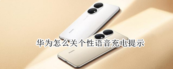 华为怎么关个性语音充电提示（华为怎么关个性语音充电提示功能）