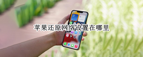 苹果还原网络设置在哪里（苹果怎么还原网络设置）