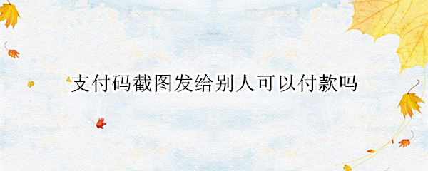 支付码截图发给别人可以付款吗（付款码截图发给别人可以付款吗）