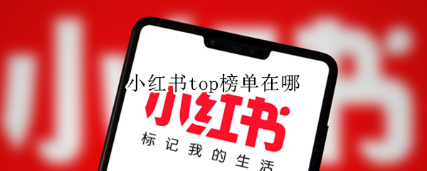 小红书top榜单在哪（小红书搜索排名）