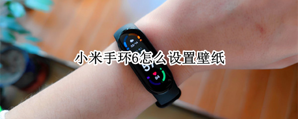 小米手环6怎么设置壁纸（小米手环6怎么设置壁纸换照片）