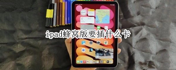 ipad蜂窝版要插什么卡（ipad蜂窝版要插什么卡好）