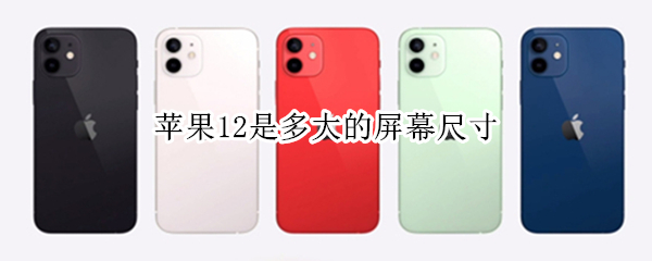苹果12是多大的屏幕尺寸 苹果12是多大的屏幕尺寸呢