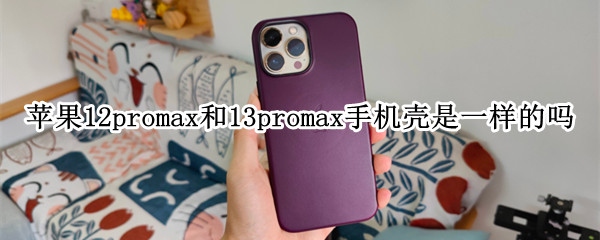 苹果12promax和13promax手机壳是一样的吗 苹果13promax跟12promax手机壳一样吗