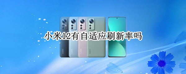小米12有自适应刷新率吗 小米12有自适应刷新率吗怎么设置
