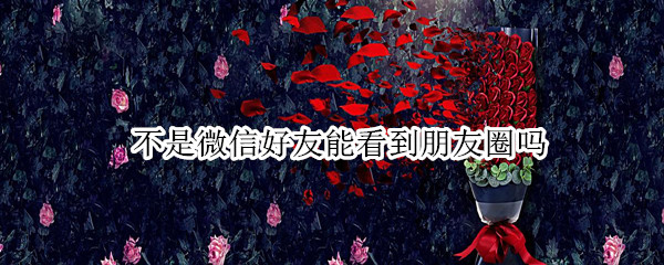 不是微信好友能看到朋友圈吗 对方不是微信好友能看到朋友圈吗