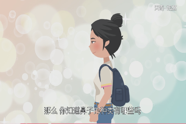 鼻子的种类