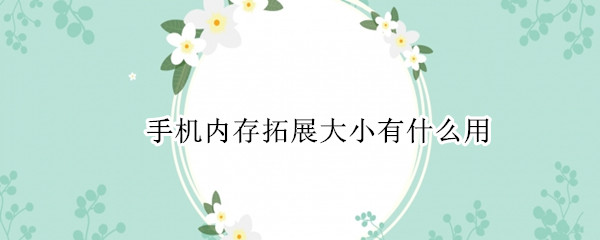 手机内存拓展大小有什么用（手机内存拓展大小有什么用处）