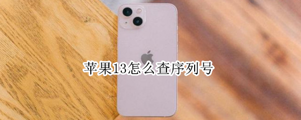 苹果13怎么查序列号（苹果13怎么查序列号查询真伪）