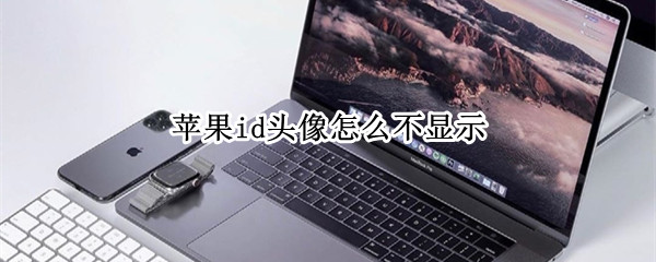 苹果id头像怎么设置了不显示（设置里面苹果id头像不显示）