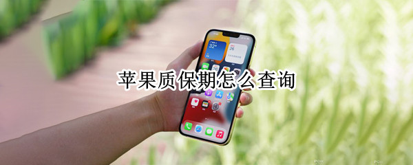 苹果质保期怎么查询（苹果质保期怎么查询不到）