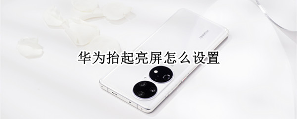 华为抬起亮屏怎么设置（华为抬起亮屏怎么设置mate30）