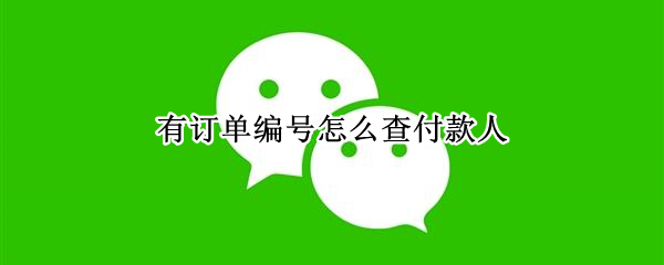 有订单编号怎么查付款人（订单编号可以查到怎么支付的吗）
