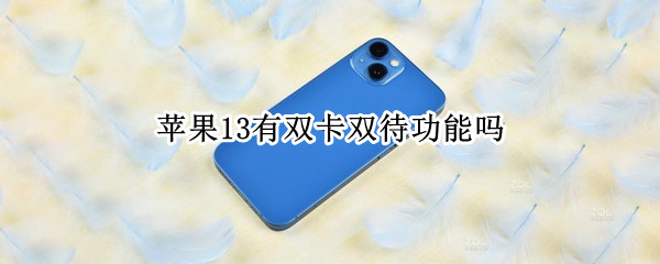 苹果13有双卡双待功能吗（苹果13可以双卡双待嘛）