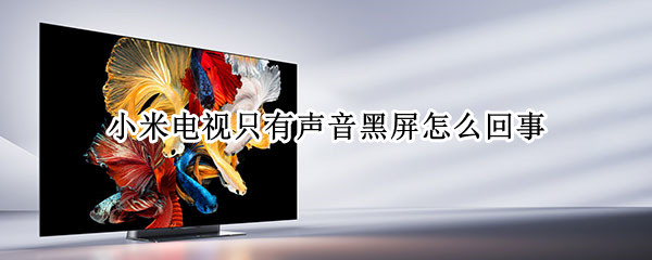 小米电视只有声音黑屏怎么回事 小米电视只有声音黑屏怎么回事,小爱音箱