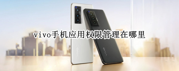 vivo手机应用权限管理在哪里（vivo应用管理权限在哪里设置）