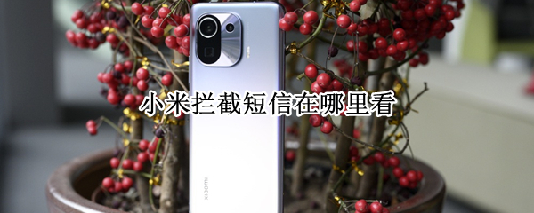 小米拦截短信在哪里看 小米手机的拦截短信在哪里看