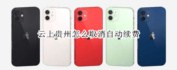 云上贵州怎么取消自动续费 云上贵州怎么关闭续费