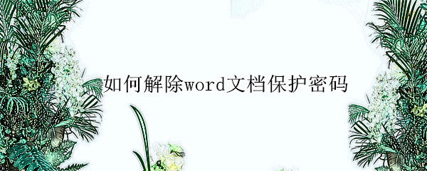 如何解除word文档保护密码（如何解除word文档保护密码锁定）