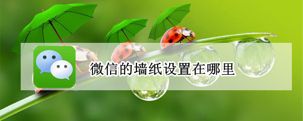 微信的墙纸设置在哪里 微信的墙纸设置在哪里看