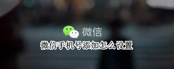 微信手机号添加怎么设置 微信手机号添加设置在哪