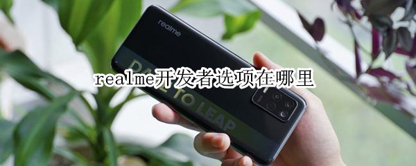 realme开发者选项在哪里 realme开发者选项在哪里关闭