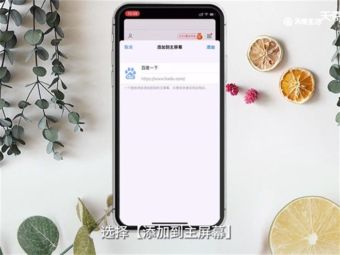 苹果浏览器怎么设置主页 苹果浏览器如何设置主页