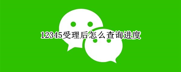 12345受理后怎么查询进度（12345受理后怎么查询进度呢）