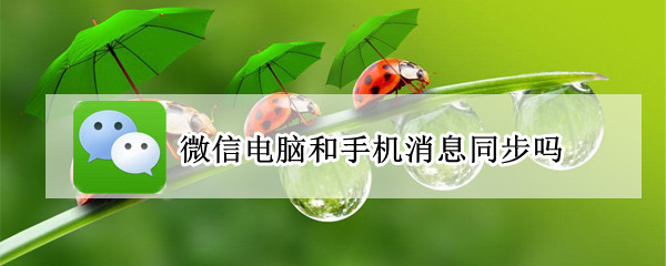 微信电脑和手机可以同步消息吗（手机微信和电脑微信消息可以同步吗）
