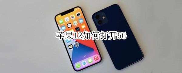 苹果12如何打开5G（苹果12如何打开5G信号）