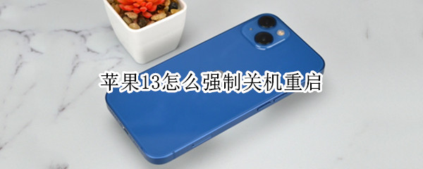 苹果13怎么强制关机重启（苹果13怎么强制关机重启电脑）