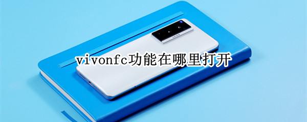 vivonfc功能在哪里打开 vivonfc功能在哪里打开三文鱼皮可以吃吗