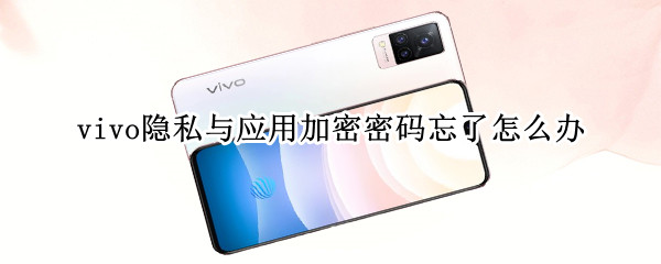 vivo隐私与应用加密密码忘了怎么办 vivo的隐私与应用加密密码忘记了怎么办