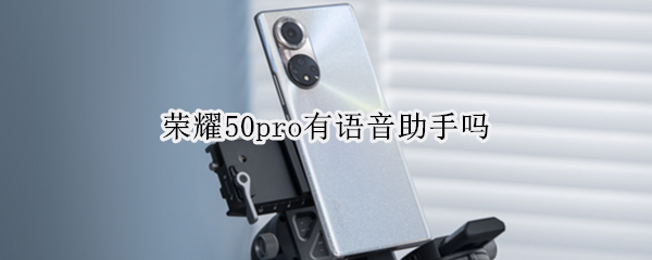 荣耀50pro有语音助手吗 荣耀50pro智慧语音怎么用