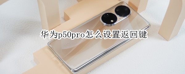 华为p50pro怎么设置返回键（华为p50pro怎么设置返回键图标）