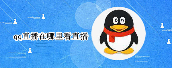 qq直播在哪里看直播 手机qq直播在哪里看