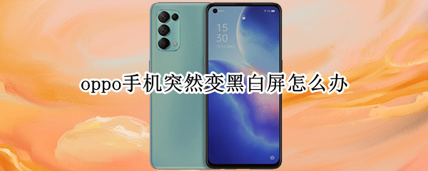 oppo手机突然变黑白屏怎么办（oppo手机突然变黑白屏怎么办）
