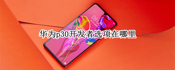 华为p30开发者选项在哪里（华为p30开发者选项在哪里设置）