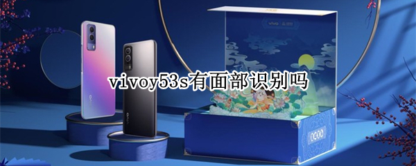 vivoy53s有面部识别吗（vivoy31s面部识别）