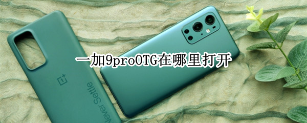 一加9proOTG在哪里打开（一加9proota）