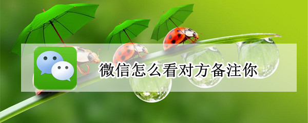 微信怎么看对方备注你 微信怎么看对方备注我什么