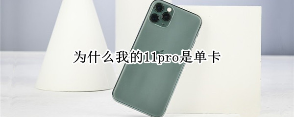 为什么我的11pro是单卡 苹果11pro卡槽图片