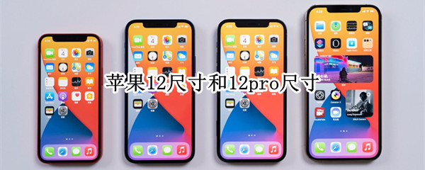 苹果12尺寸和12pro尺寸 苹果12尺寸和12pro尺寸多少厘2