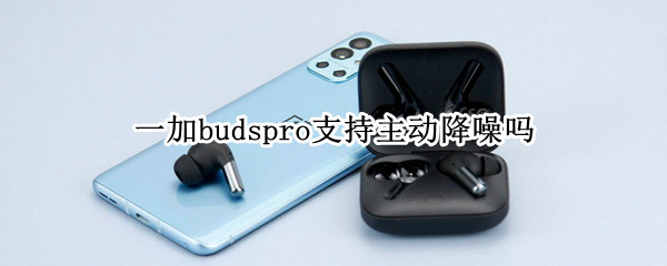一加budspro支持主动降噪吗（一加budspro底噪）