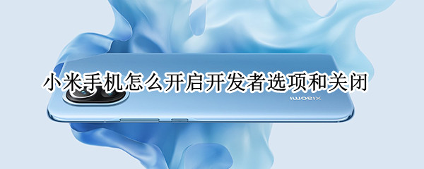 小米手机怎么开启开发者选项和关闭 小米手机怎么开启开发者选项和关闭功能