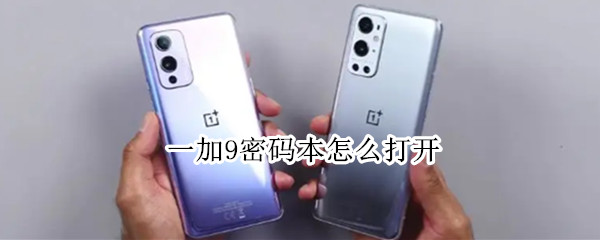 一加9密码本怎么打开（一加9锁屏密码）