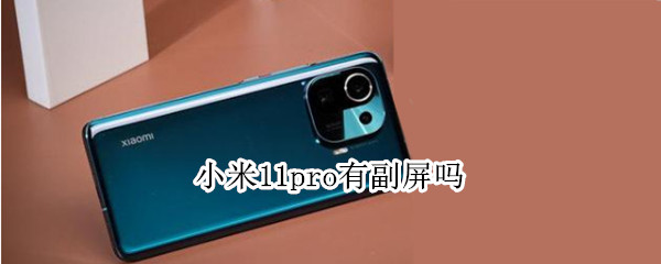 小米11pro有副屏吗（小米11pro有没有副屏）